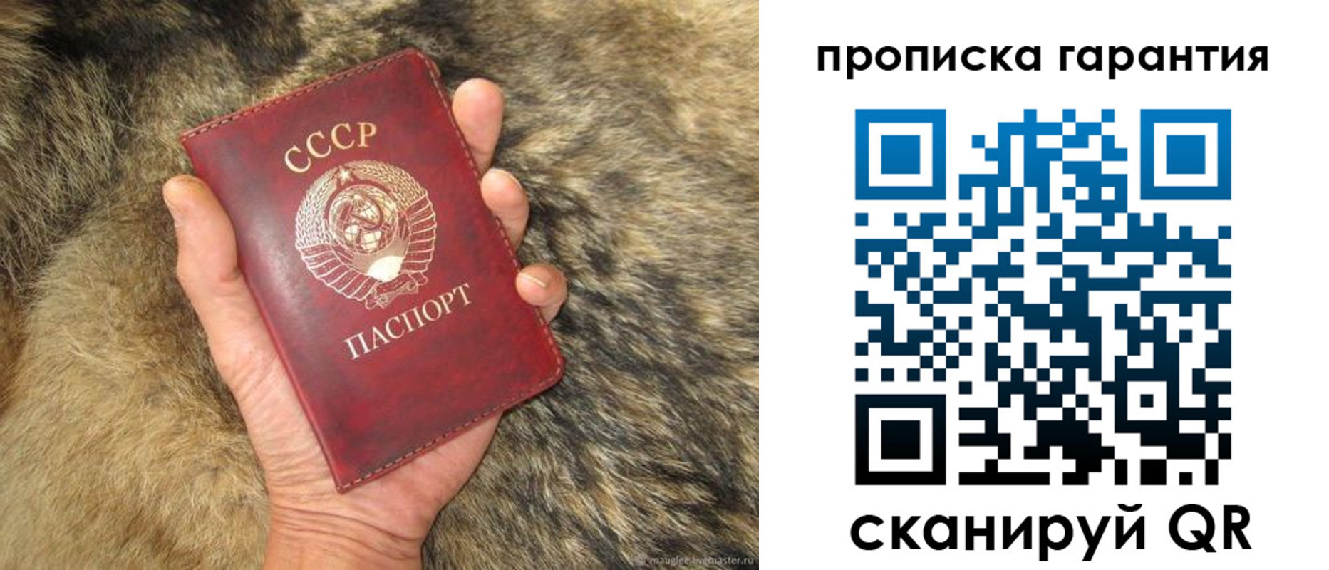 прописка паспорт в Волгореченске